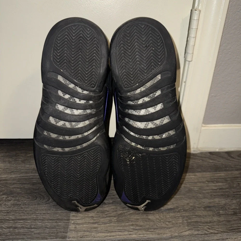 Nike Air Jordan 12 XII Retro Dark Concord Black Purple CT8013-005 Men's Size 12